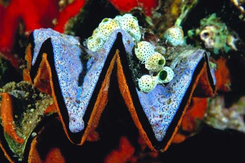 Самые посещаемые страны 2023. Нидерланды – 19 миллионов международных туристических прибытий. 23 Самые посещаемые страны 2023. Нидерланды – 19 миллионов международных туристических прибытий. 23