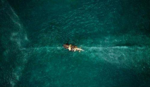 Самое страшное в океане. 13 самых страшных подводных мест. При их виде даже у храбреца по спине бегут мурашки…