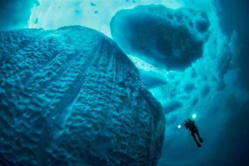 Самое страшное в океане. 13 самых страшных подводных мест. При их виде даже у храбреца по спине бегут мурашки…