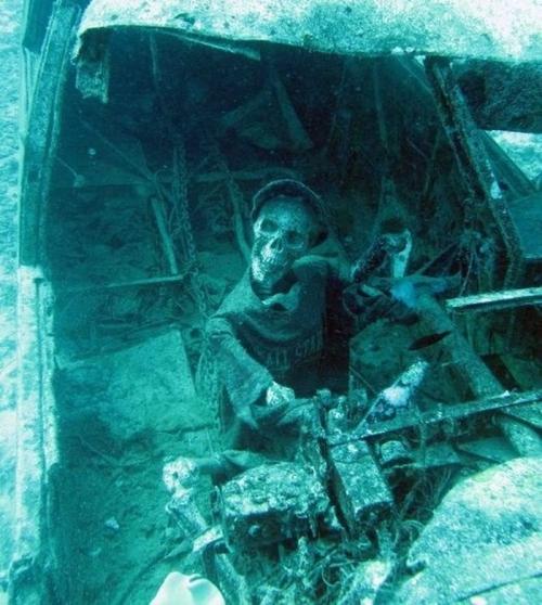 Самое страшное в океане. 13 самых страшных подводных мест. При их виде даже у храбреца по спине бегут мурашки…