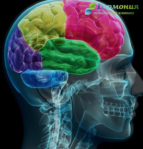 Влияние алкоголя на мозг человека: что происходит внутри 01