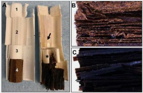 Как бросить курить айкос. Проверка на вшивость