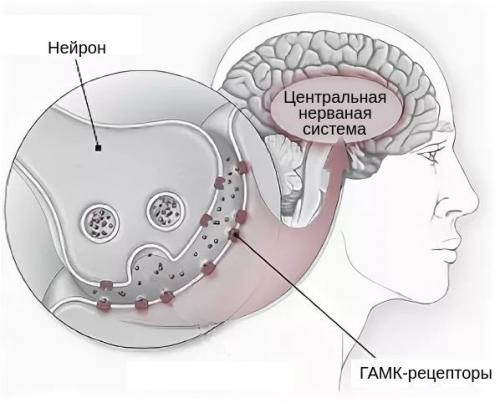 После вечеринки: сколько времени мозгу требуется для восстановления после алкоголя 04