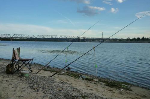 Какие особенности поведения рыбы могут повлиять на то что рыба не клюет. Выбор места