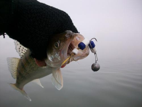 Лучшие уловы: Как выбрать правильное приманку для рыбалки 05 Лучшие уловы: Как выбрать правильное приманку для рыбалки 05